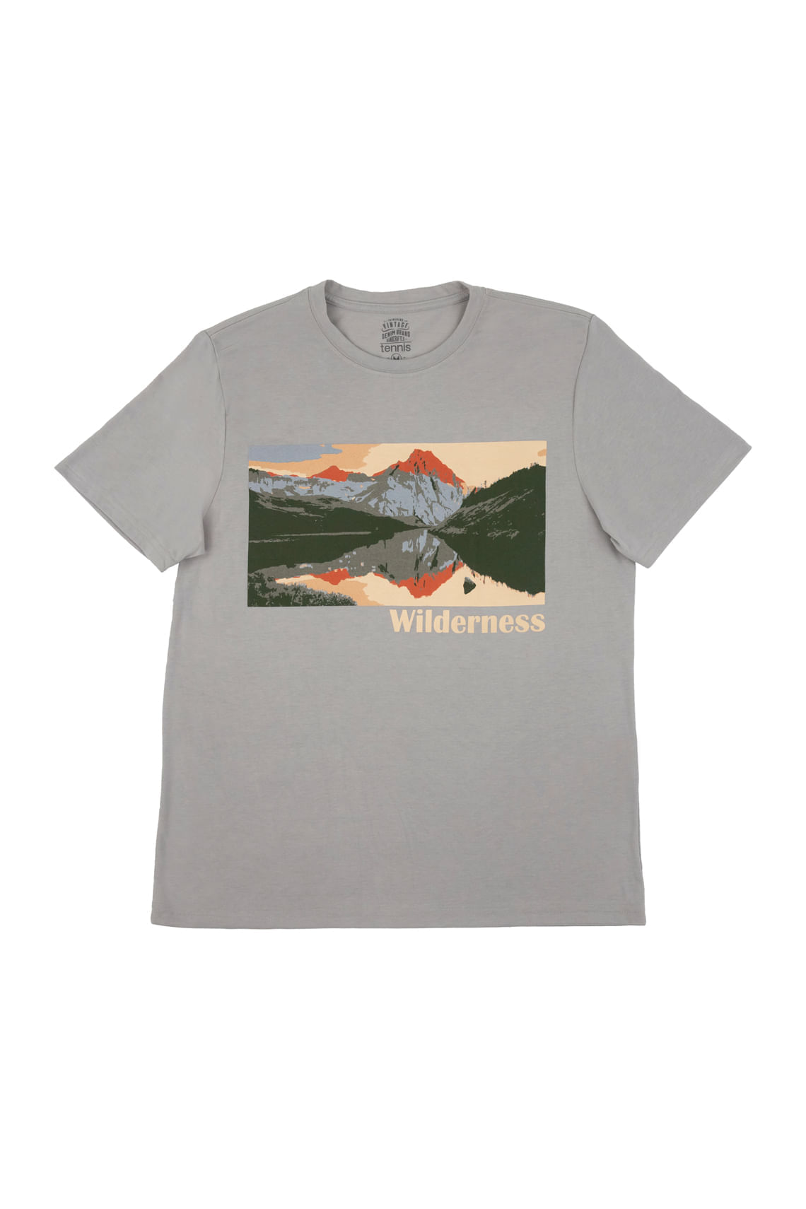 Camiseta gris estampada para hombre