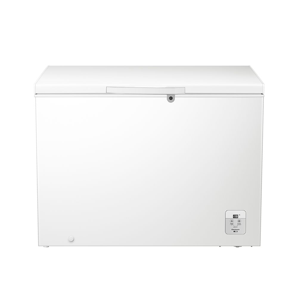 Congelador Horizontal 300L HISENSE BD300